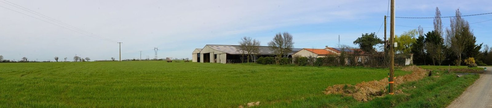 Champ en bord de voie communale avec un hangar agricole au fond, état initial