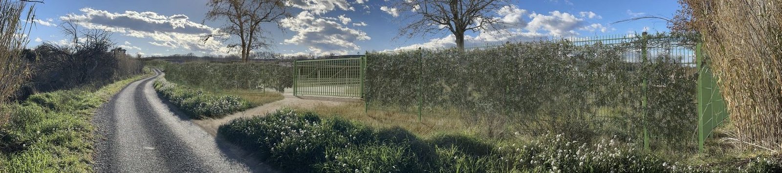 Photomontage de la clôture doublée d’une haie le long du chemin rural