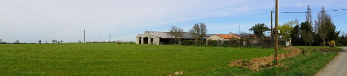 Champ en bord de voie communale avec un hangar agricole au fond, état initial