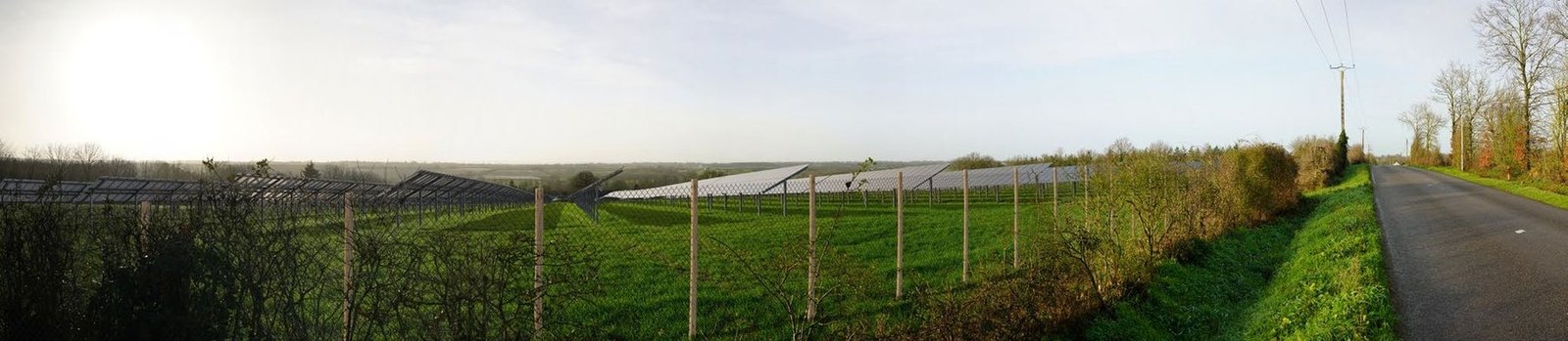Photomontage d’une centrale photovoltaïque derrière une haie bocagère clairsemée