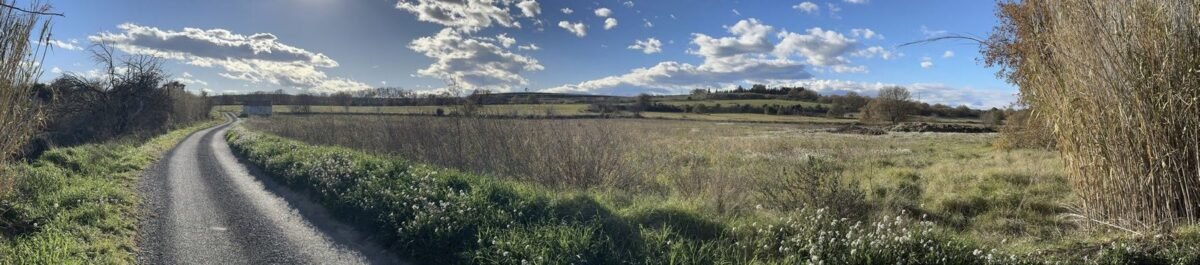 Chemin rural et prairie sous un ciel nuageux, état initial